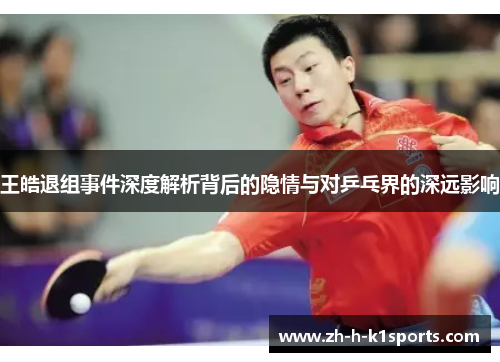 王皓退组事件深度解析背后的隐情与对乒乓界的深远影响