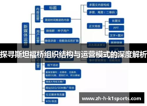 探寻斯坦福桥组织结构与运营模式的深度解析