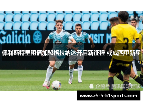 佩利斯特里租借加盟格拉纳达开启新征程 或成西甲新星 佩利斯特里租借加盟格拉纳达开启新征程 或成西甲新星