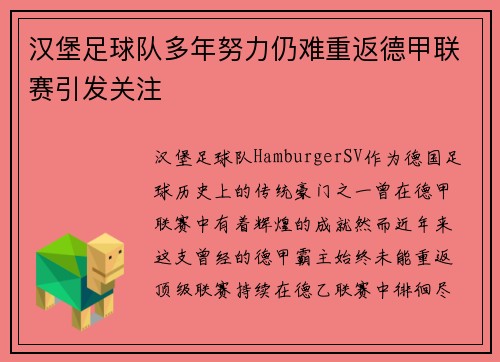 汉堡足球队多年努力仍难重返德甲联赛引发关注